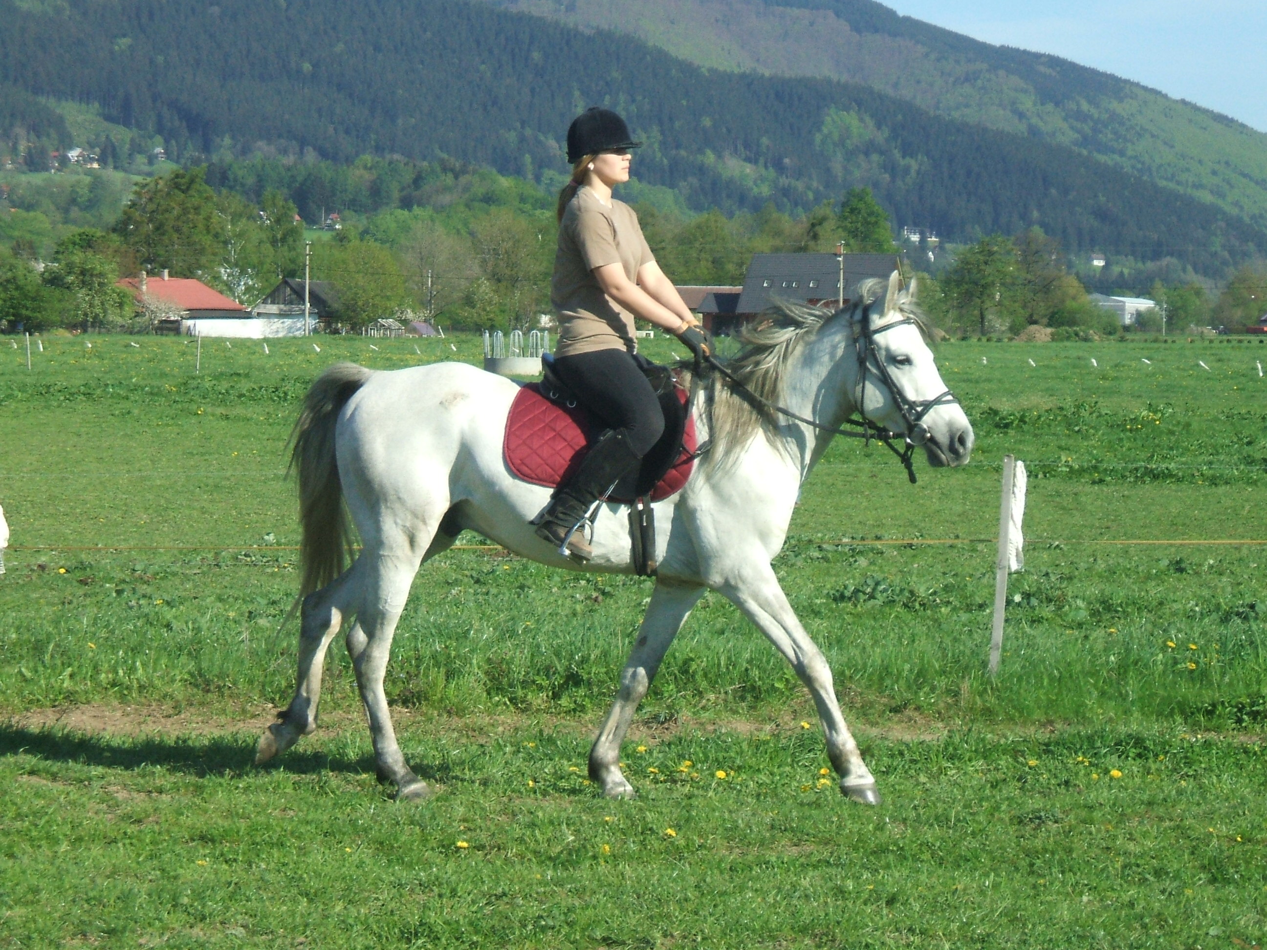 DSCF2774.JPG